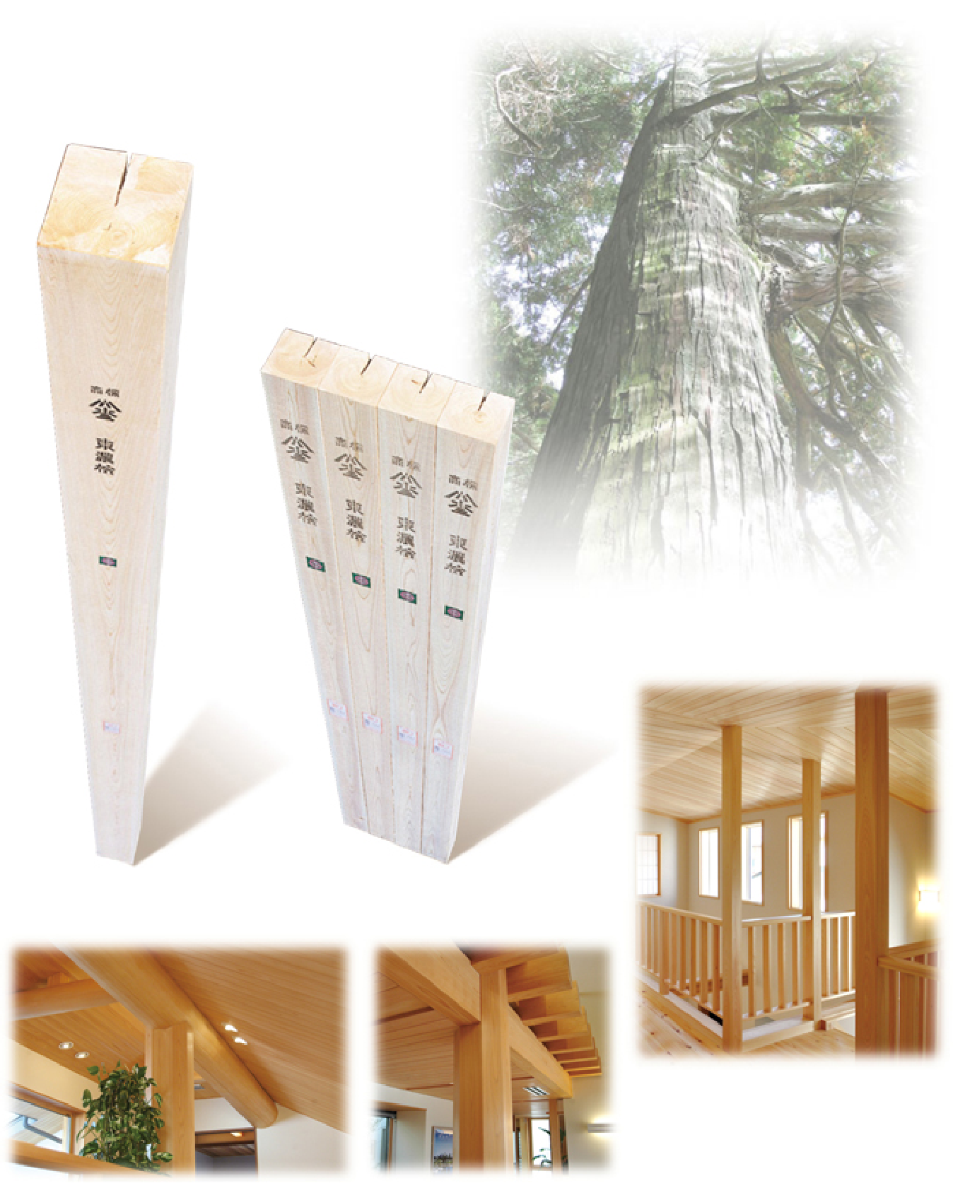 でっかいイメージ図1個_1