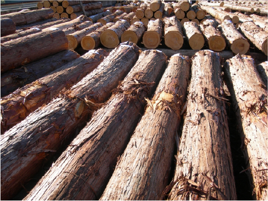  材木イメージ