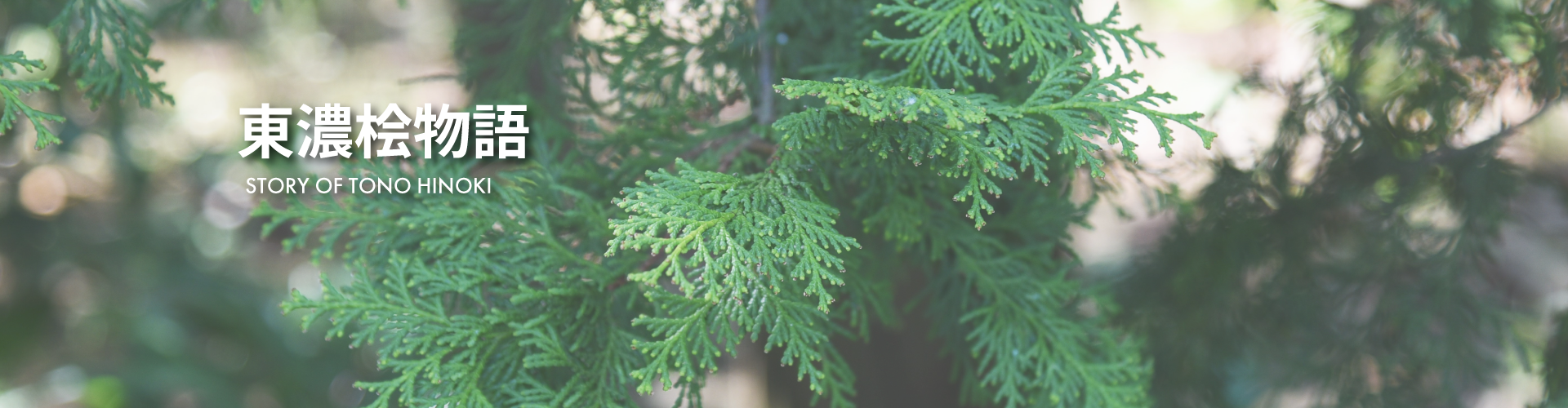 東濃桧物語TOP画像