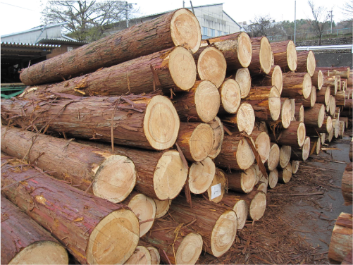 桧がたくさん積まれている